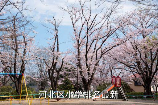 河北區小學排名最新