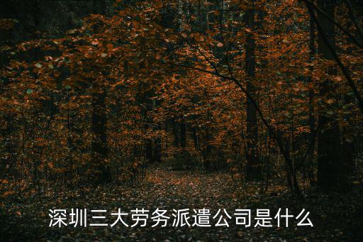 深圳三大勞務派遣公司是什么