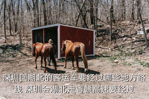 深圳回湖北麻城走江西經(jīng)過哪些城市，深圳回湖北的客運(yùn)車要經(jīng)過哪些地方路線 深圳會(huì)湖北走粵贛高速要經(jīng)過