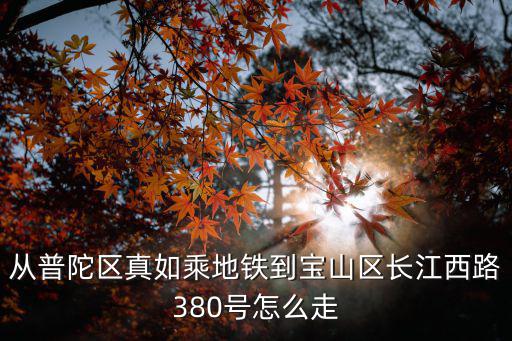 上海市寶山區(qū)長江西路380號，寶山區(qū)顧北東路188弄離寶山區(qū)長江西路380號有多少公里