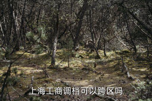 上海工商調(diào)檔可以跨區(qū)嗎