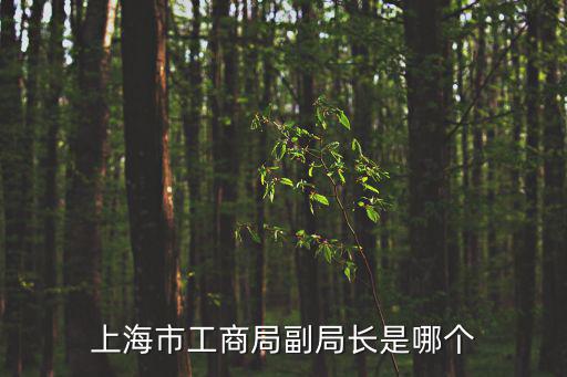 上海市張?jiān)姡虾Ｊ薪鹕絽^(qū)亭林鎮(zhèn)南亭公路5508號(hào) 是什么公司