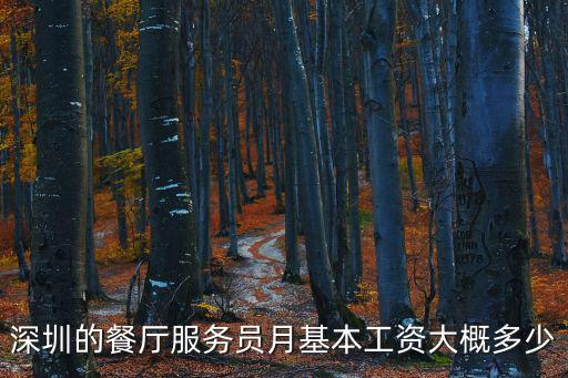 深圳的餐廳服務員月基本工資大概多少