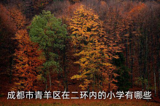 成都市青羊區(qū)在二環(huán)內(nèi)的小學(xué)有哪些