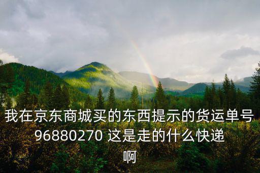 我在京東商城買的東西提示的貨運(yùn)單號96880270 這是走的什么快遞啊