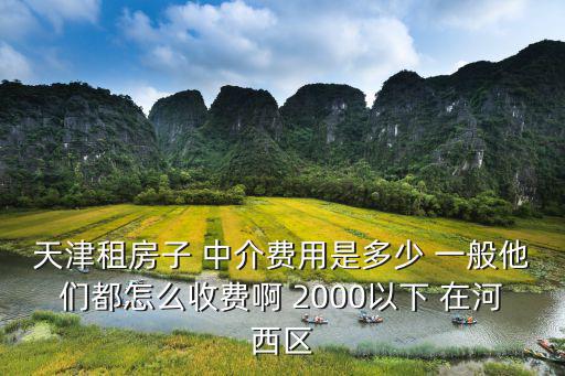 天津租房子 中介費(fèi)用是多少 一般他們都怎么收費(fèi)啊 2000以下 在河西區(qū)