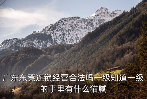 廣東東莞連鎖經(jīng)營(yíng)合法嗎一級(jí)知道一級(jí)的事里有什么貓膩
