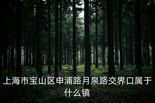 上海市寶山區(qū)申浦路月泉路交界口屬于什么鎮(zhèn)