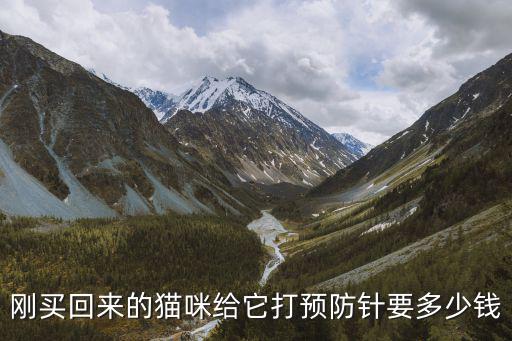 寵物貓接種什么疫苗多少錢，剛買回來的貓咪給它打預防針要多少錢