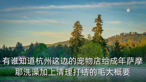 有誰知道杭州這邊的寵物店給成年薩摩耶洗澡加上清理打結的毛大概要