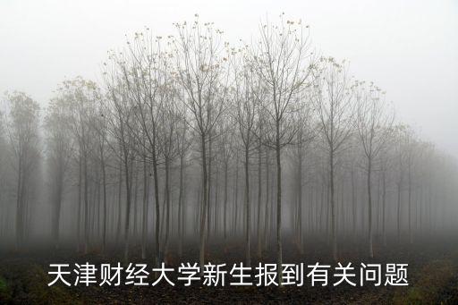 天津財(cái)經(jīng)大學(xué)新生報(bào)到有關(guān)問題
