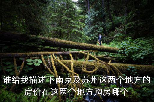 誰(shuí)給我描述下南京及蘇州這兩個(gè)地方的房?jī)r(jià)在這兩個(gè)地方購(gòu)房哪個(gè)