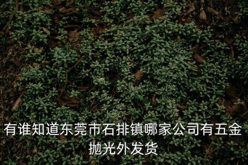 有誰知道東莞市石排鎮(zhèn)哪家公司有五金拋光外發(fā)貨
