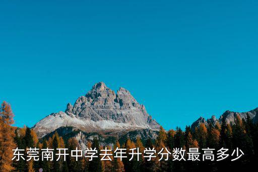 東莞南開中學去年升學分數最高多少