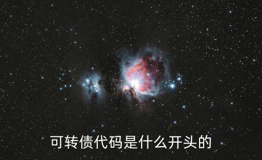 可轉(zhuǎn)債代碼是什么開(kāi)頭的
