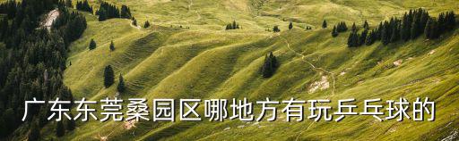 廣東東莞桑園區哪地方有玩乒乓球的