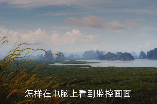 怎樣在電腦上看到監控畫面