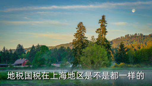 上海市稅務(wù)局納稅服務(wù)處處長(zhǎng)，地稅國(guó)稅在上海地區(qū)是不是都一樣的