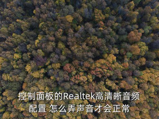1280x720的音頻參數(shù)怎么設置，控制面板的Realtek高清晰音頻配置 怎么弄聲音才會正常