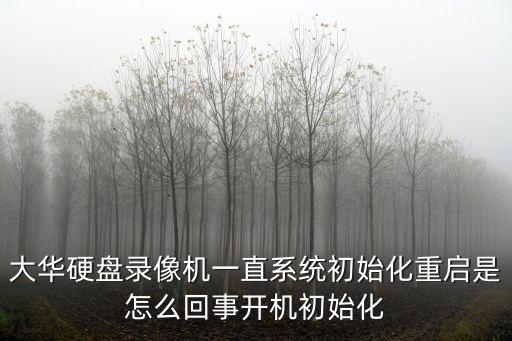 大華視頻存儲服務器怎么重新啟動，怎么重啟服務器安全狗