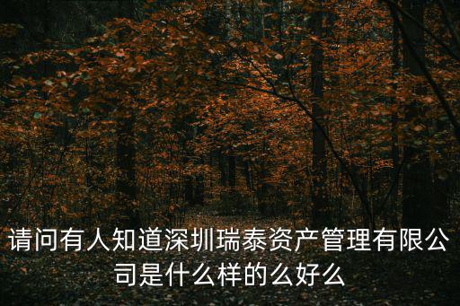 請問有人知道深圳瑞泰資產管理有限公司是什么樣的么好么