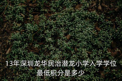 13年深圳龍華民治潛龍小學(xué)入學(xué)學(xué)位最低積分是多少