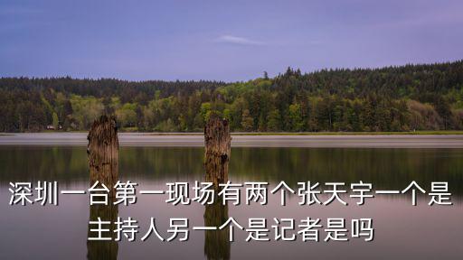 深圳一臺第一現場有兩個張天宇一個是主持人另一個是記者是嗎