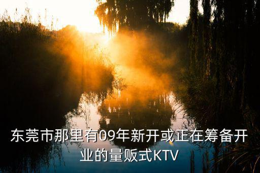東莞市那里有09年新開或正在籌備開業的量販式KTV