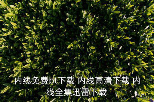 內線免費bt下載 內線高清下載 內線全集迅雷下載