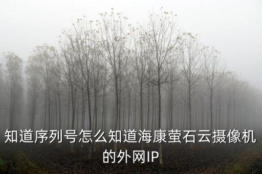 海康威視序列號(hào)怎么看，知道序列號(hào)怎么知道海康螢石云攝像機(jī)的外網(wǎng)IP
