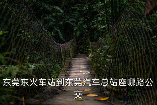 東莞東火車站到東莞汽車總站座哪路公交
