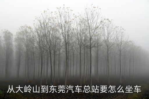 從大嶺山到東莞汽車總站要怎么坐車