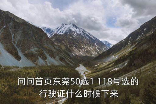 東莞50選1格式是什么意思，問問首頁東莞50選1 118號選的 行駛證什么時候下來