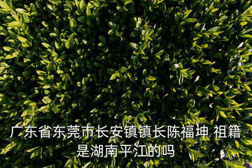 東莞啟辰 胡麗珠，東莞韓方科顏