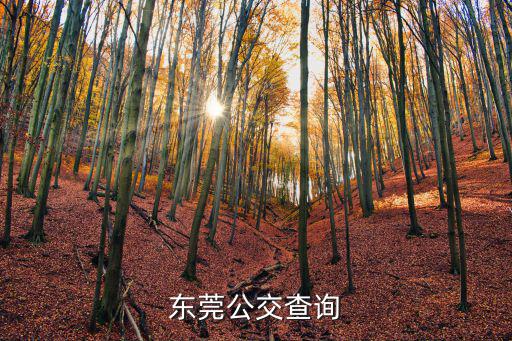 東莞公交查詢