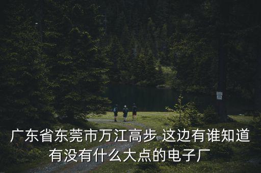 廣東省東莞市萬江高步 這邊有誰知道有沒有什么大點(diǎn)的電子廠