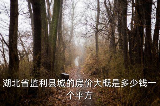 湖北省監利縣城的房價大概是多少錢一個平方