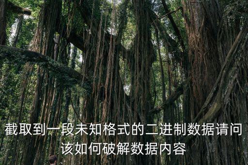 截取到一段未知格式的二進制數據請問該如何破解數據內容