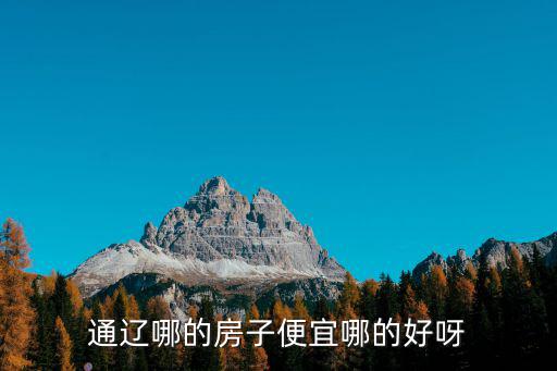 通遼哪個小區房價便宜，通遼現在在哪里買樓最實惠價格便宜的