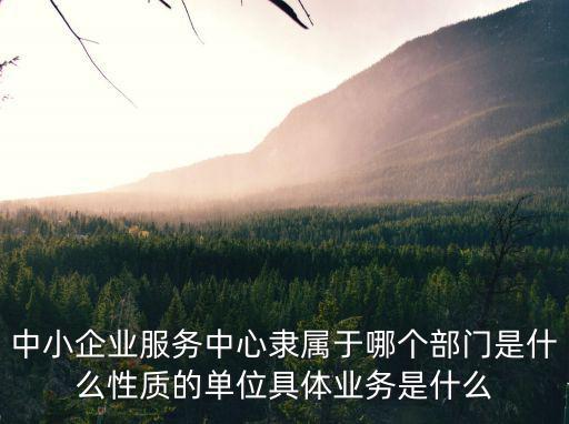 中小企業服務中心隸屬于哪個部門是什么性質的單位具體業務是什么