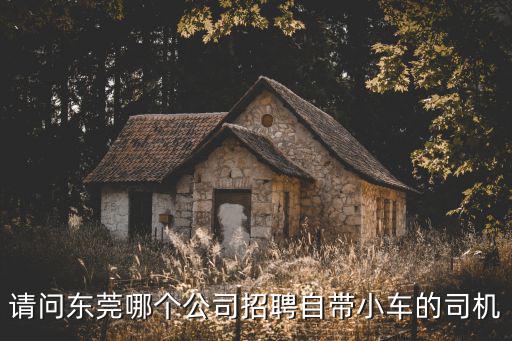請問東莞哪個公司招聘自帶小車的司機