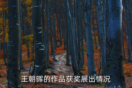 王朝暉的作品獲獎展出情況