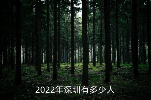 深圳女子1700萬，2022年深圳有多少人