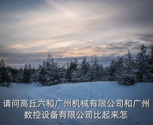 請問高丘六和廣州機械有限公司和廣州數控設備有限公司比起來怎