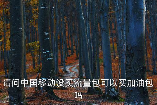 請(qǐng)問中國移動(dòng)沒買流量包可以買加油包嗎