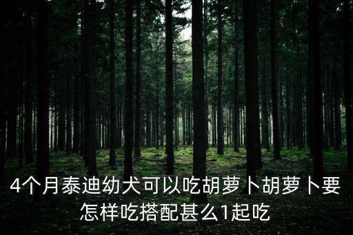 泰迪一天能吃多少胡蘿卜，4個月泰迪幼犬可以吃胡蘿卜胡蘿卜要怎樣吃搭配甚么1起吃