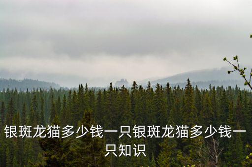 輻紋陸龜多少錢一只，鉆紋龜在淘寶網(wǎng)的價(jià)格是一只多少錢
