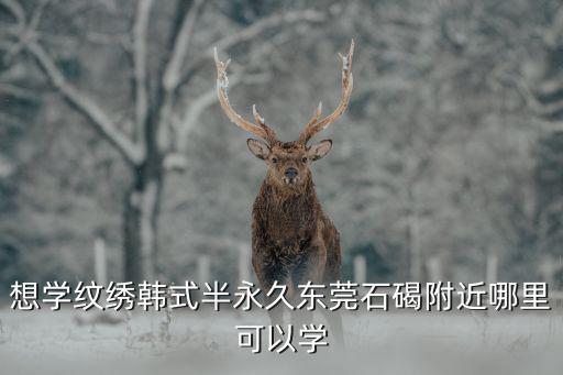 想學紋繡韓式半永久東莞石碣附近哪里可以學