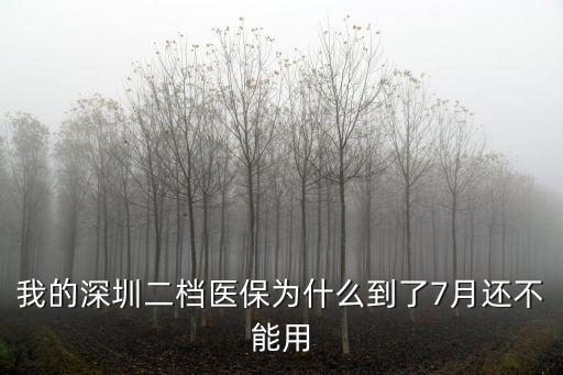 我的深圳二檔醫保為什么到了7月還不能用