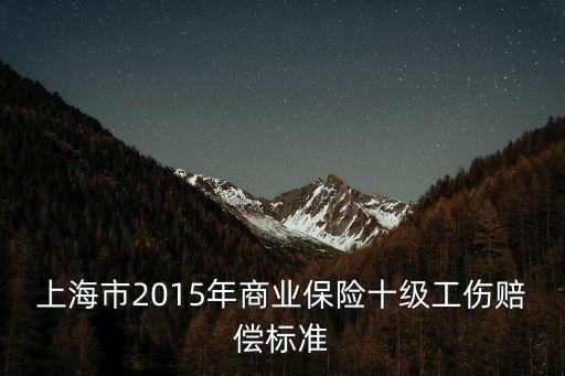 上海市2015年商業保險十級工傷賠償標準